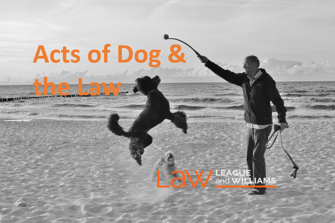 Acts Of Dog & The Law In BC: Risk & Responsibility